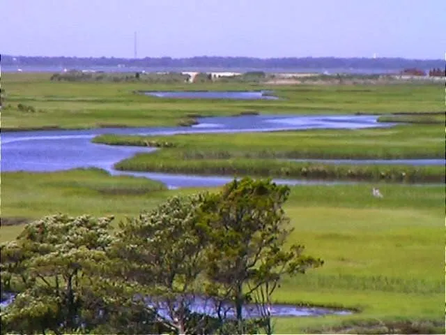 Joseph L. Butler, Jr. photo 2