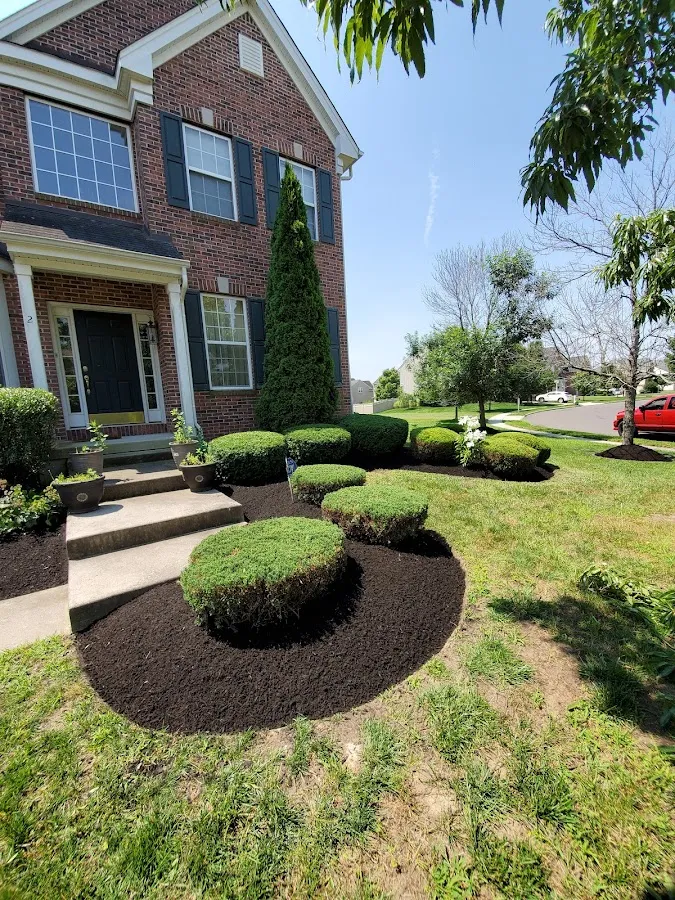 Jose's Lawn Maintenance