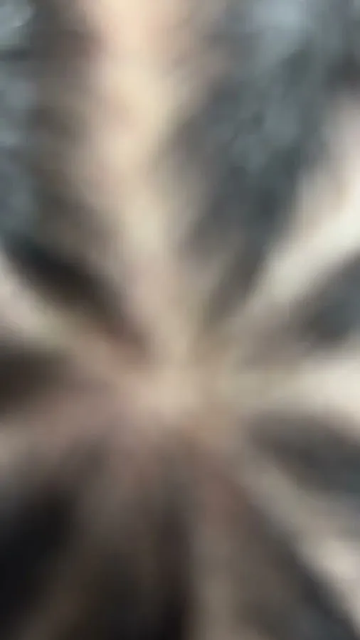 Juan's Barber Shop & Beauty Salon photo 2