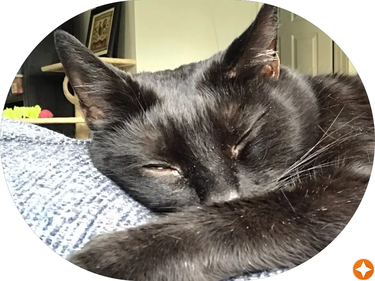 Judson Moon, OD photo 4