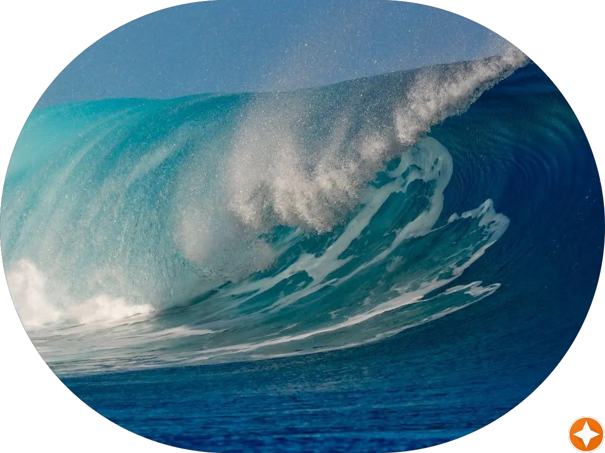 Julie Lomas- New Jersey Realtor with New Era Real Estate photo 5