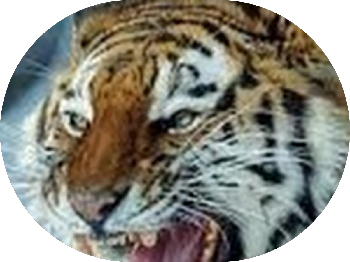 Julie Song, Realtor - Re/Max Now photo 5