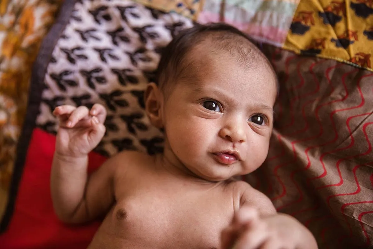 June Day Photography photo 2