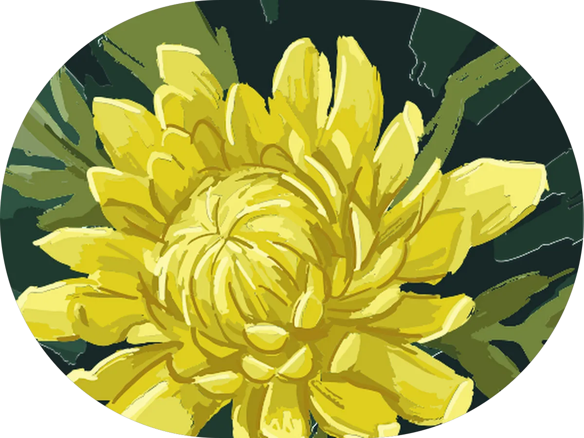 Karen Harkaway, MD photo 2