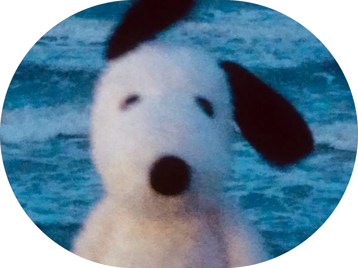 Katerina Giberman – Web Design & Digital Strategy photo 5