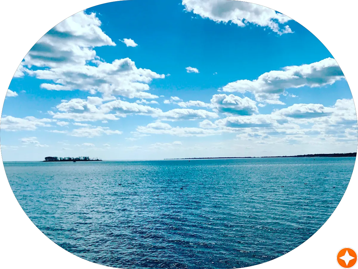 Keep it Movin' Carpet Cleaners, LLC photo 5