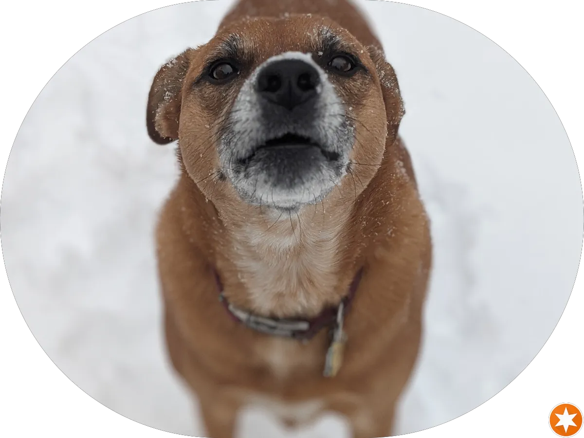 Keller Williams Village Square Realty Tony Kim Realtor photo 5