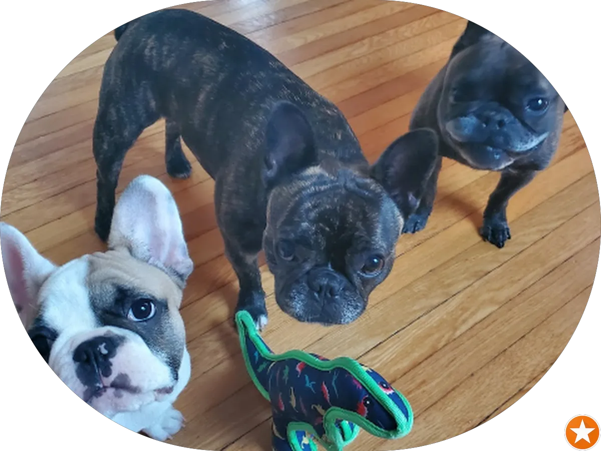 Kern Home Inspections photo 3