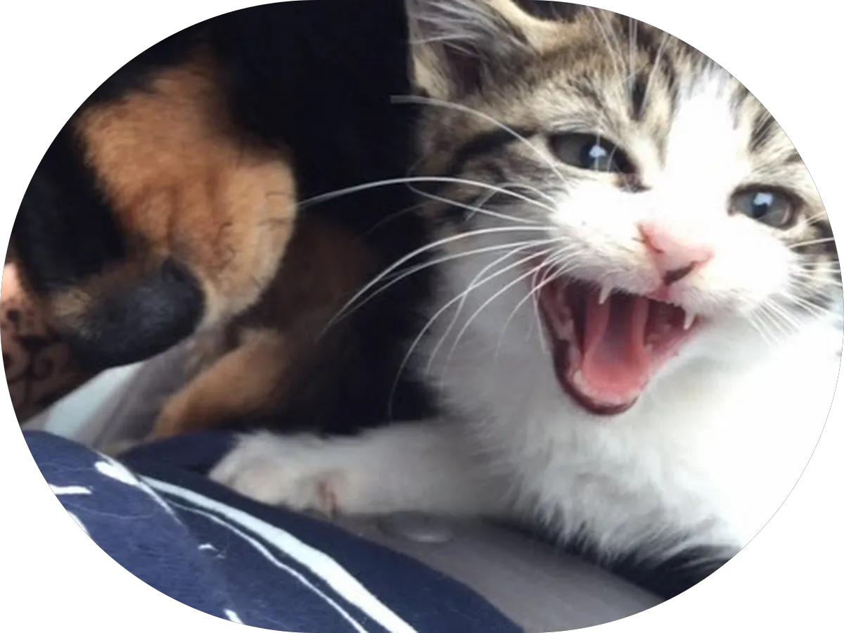 Keystone Overhead Door Inc. photo 4