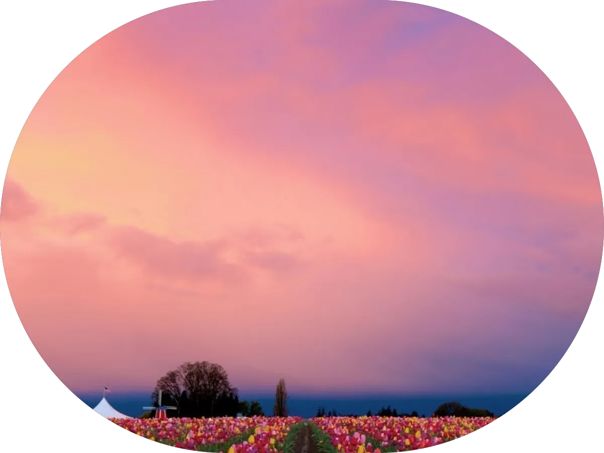 KIDS FIRST Swim School - Cherry Hill photo 3