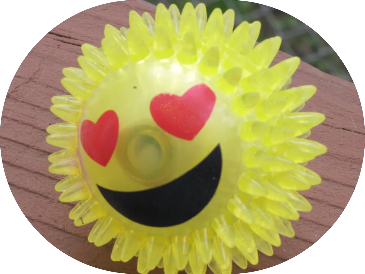 Kim Alden DDS photo 4