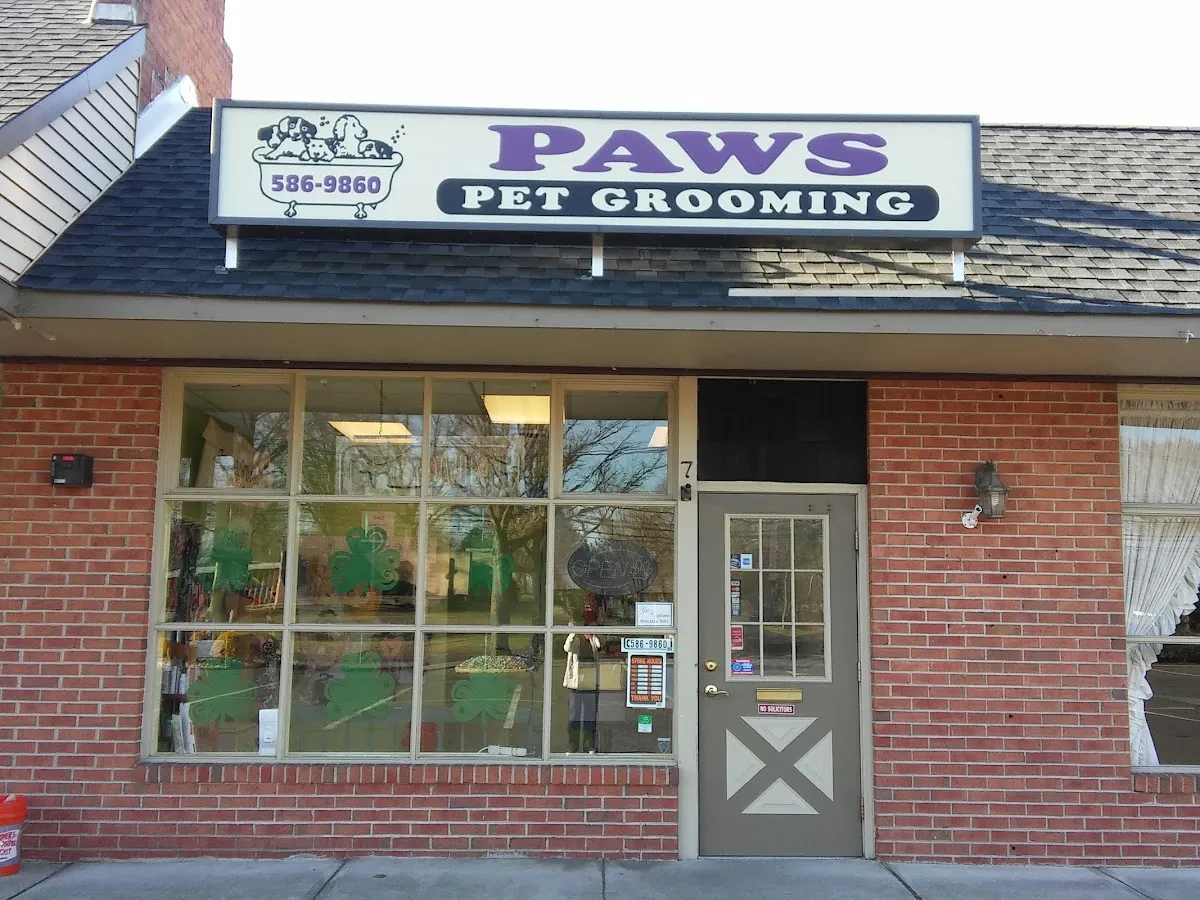 Kim's Broad Street Bark photo 4