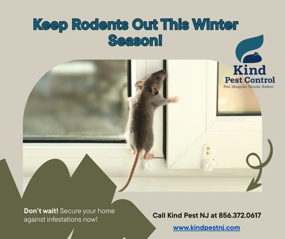 Kind Pest NJ