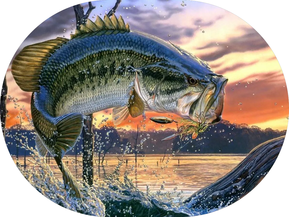 King Garage Doors Repairs And Service photo 3