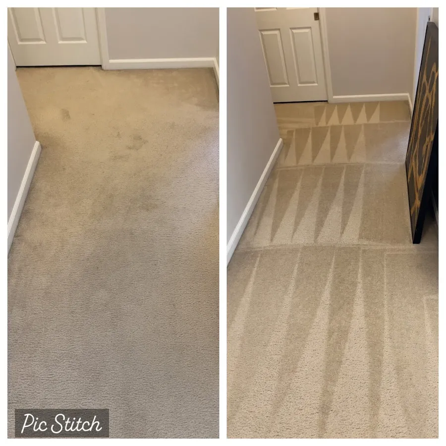 King Klean Carpet Cleaning