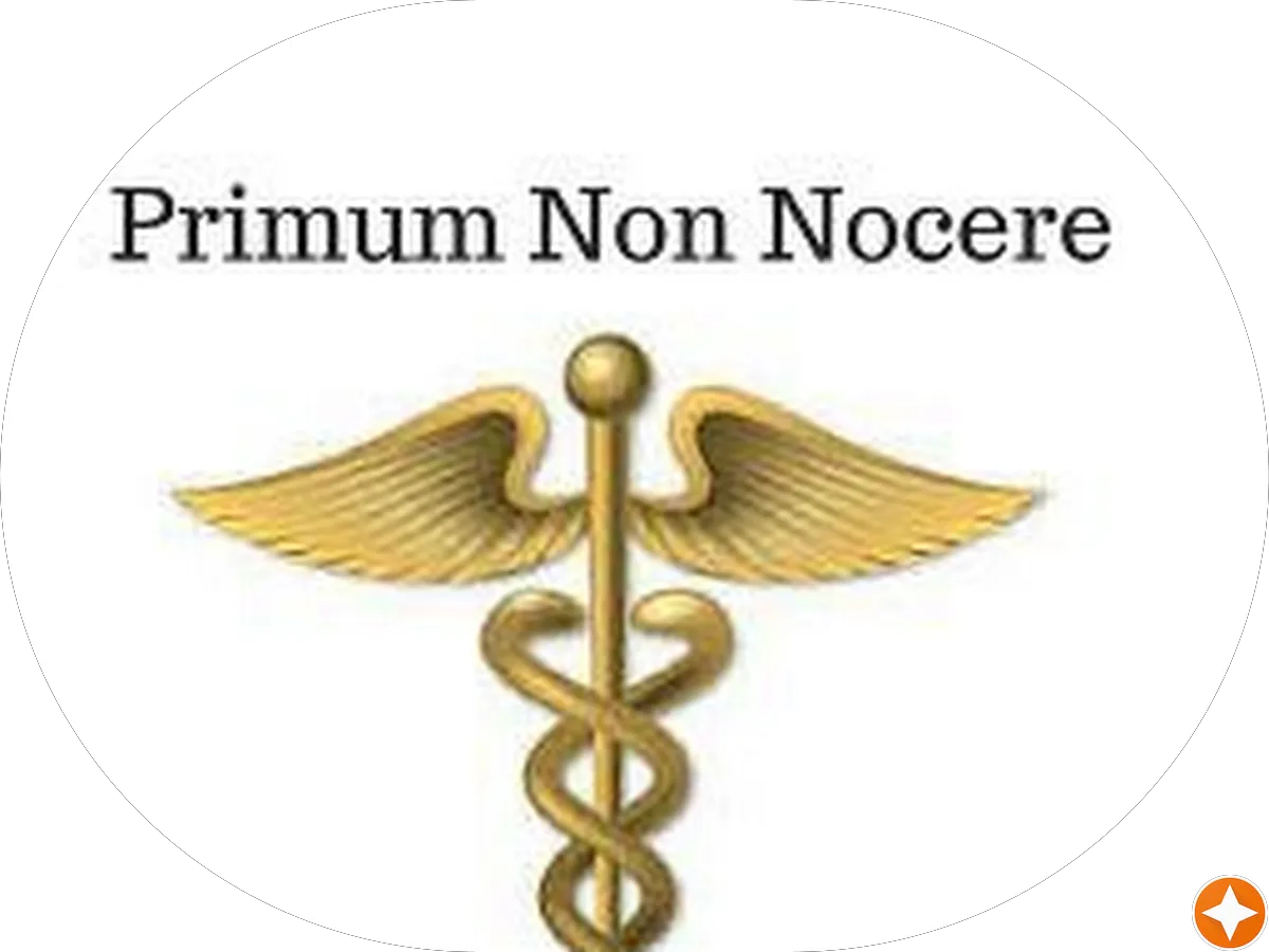 Kitch Design Studio photo 5