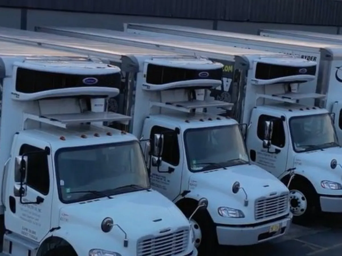 KMF Food Distribution photo 5