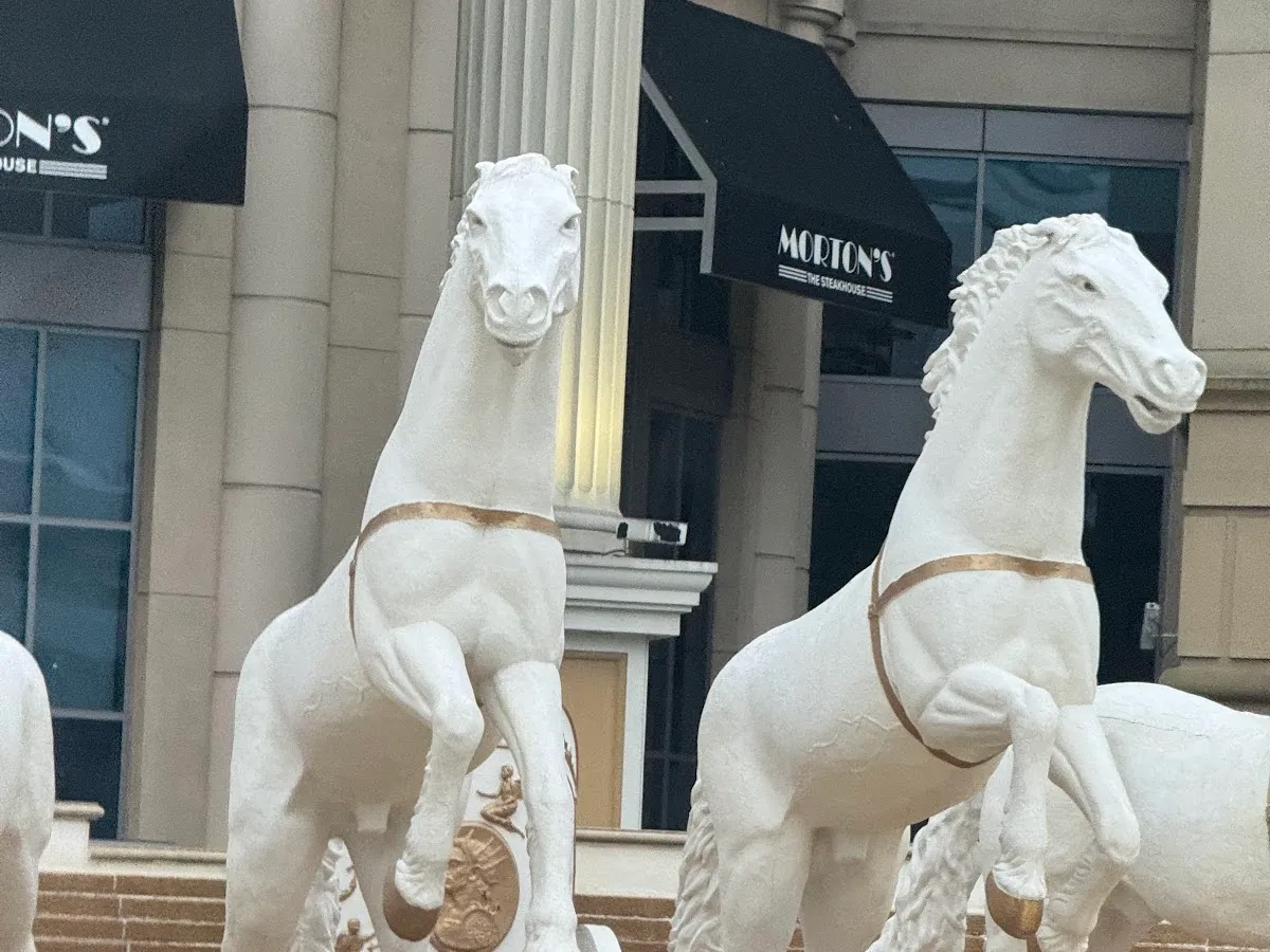 KML Mobile Notary photo 4