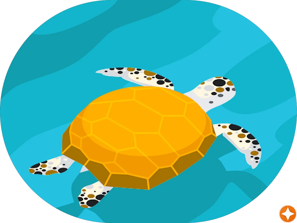 Kobe's Backbeach Cafe photo 4