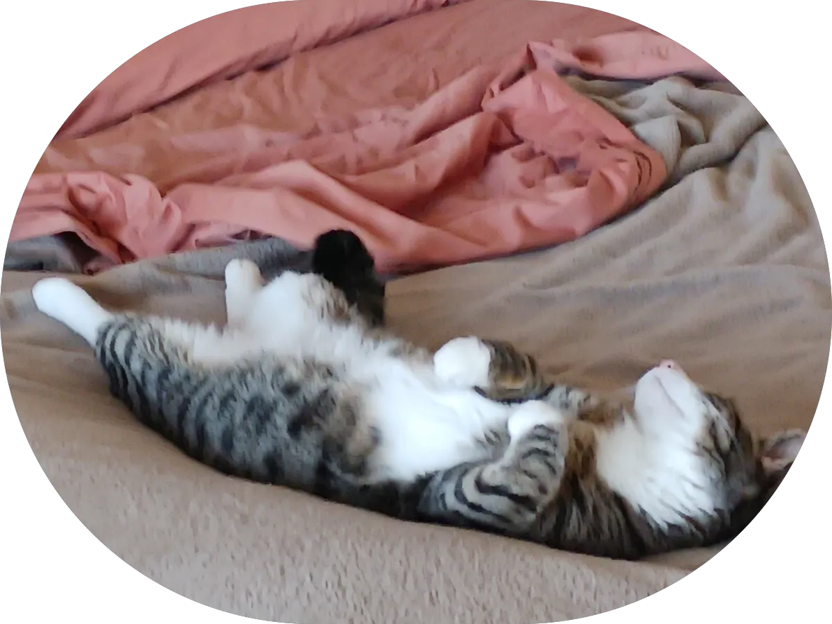 Kraft Law Offices photo 5