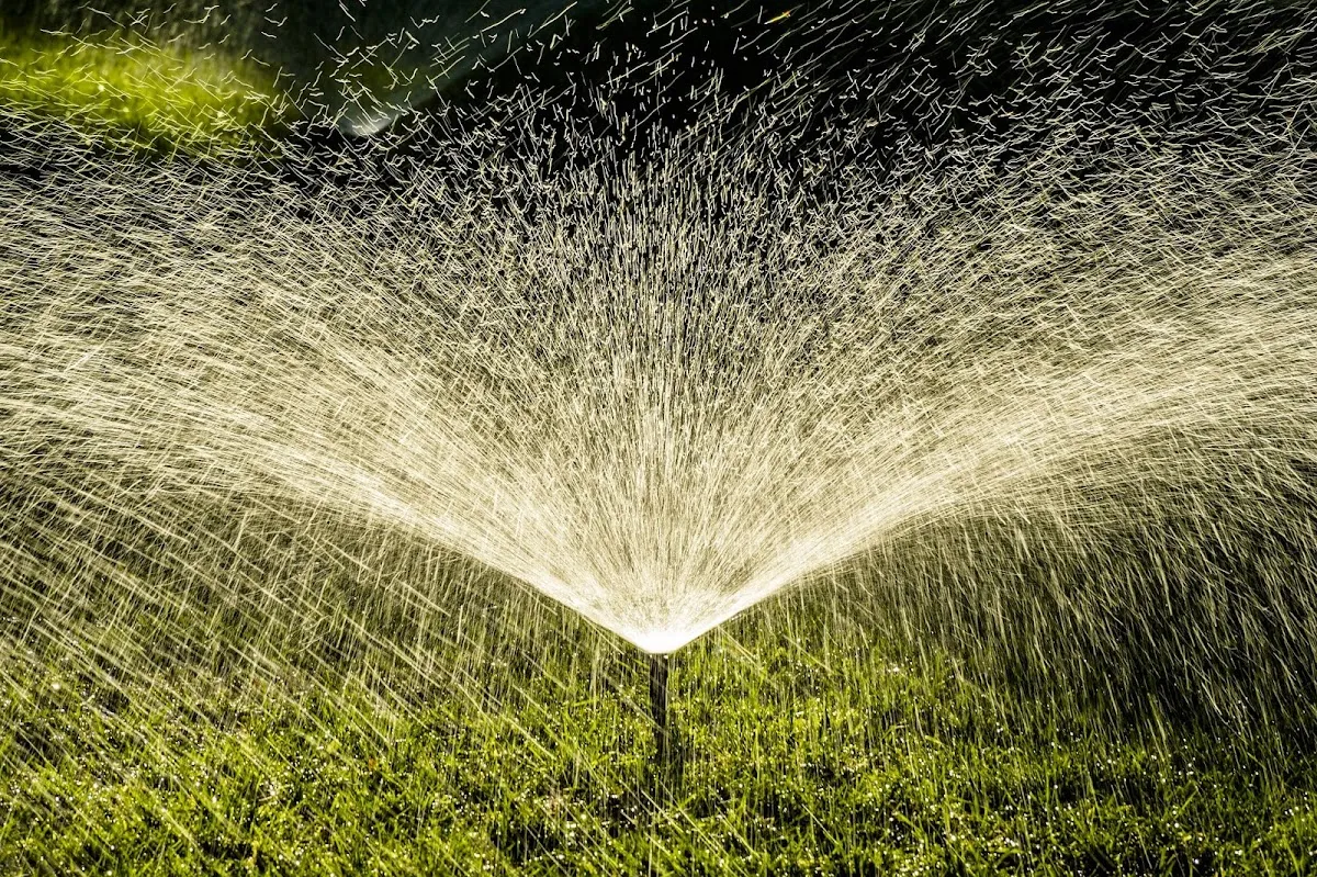 L and J Landscaping photo 3