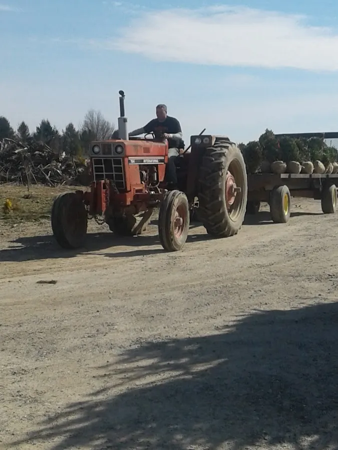 L G Hoffman Nurseries