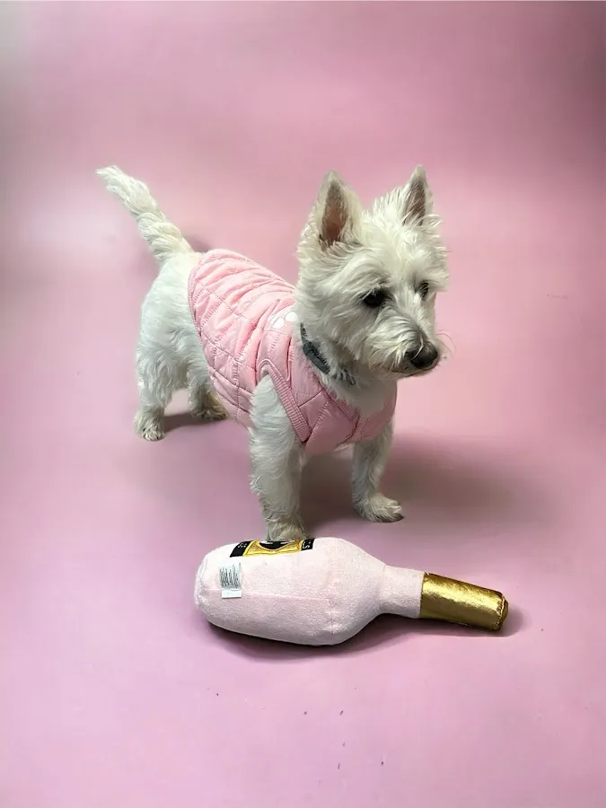 La “Chi” Da Pet Clothing and Boutique photo 4