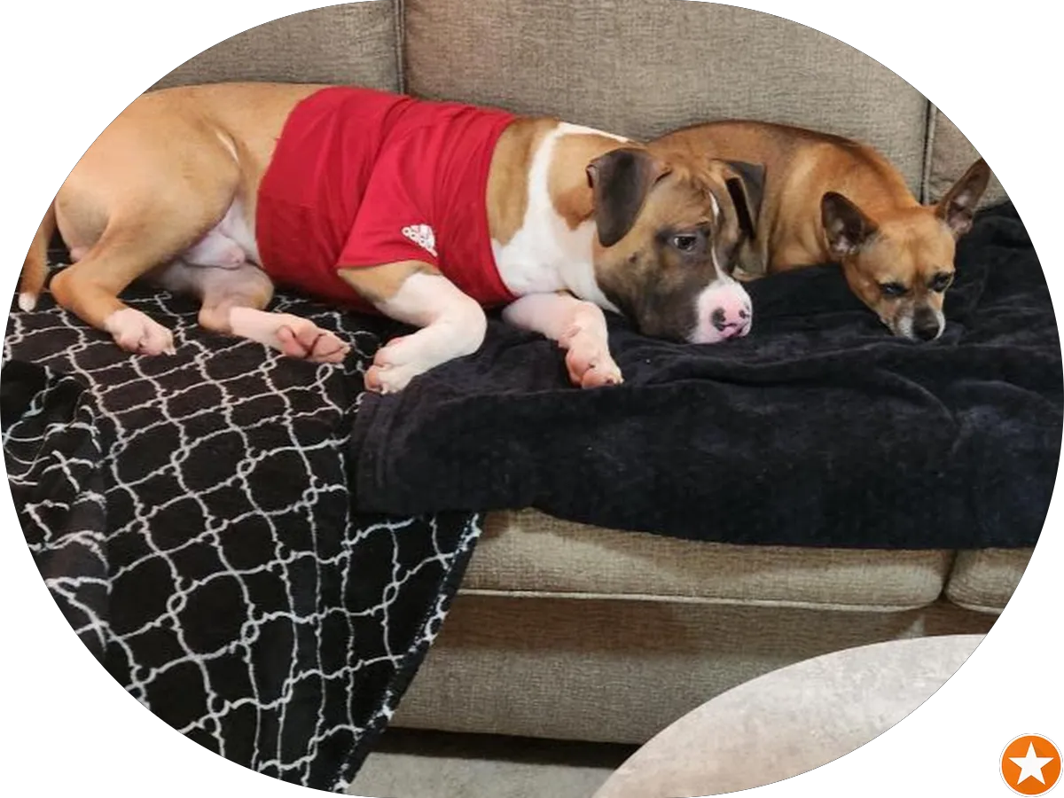 La Ramirez Y Taqueria photo 4