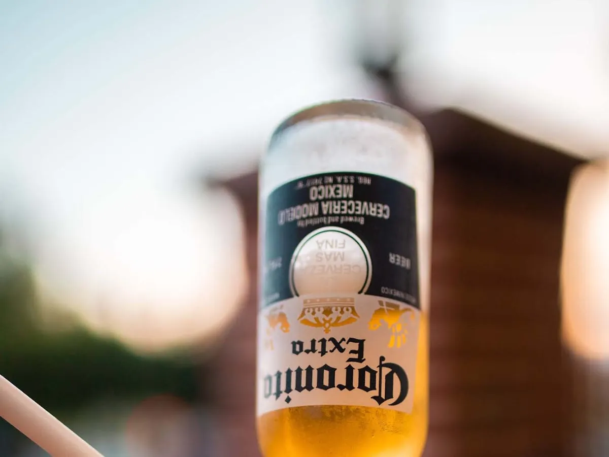 La Tolteca Mexican Kitchen and Bar - Greenville, DE photo 4