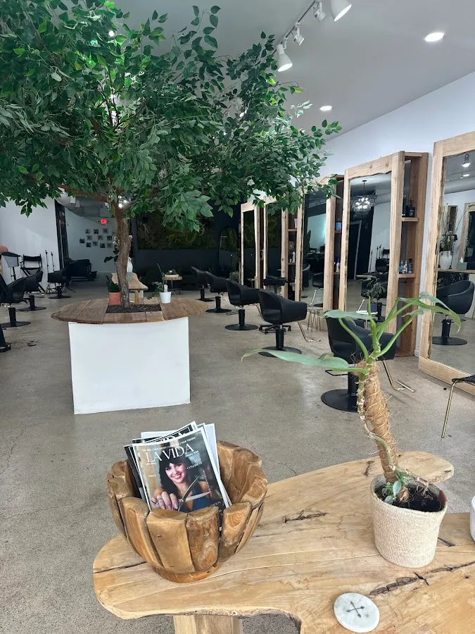 LA VIDA Salon and Spa photo 2