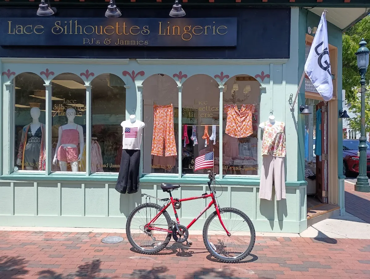 Lace Silhouettes Lingerie