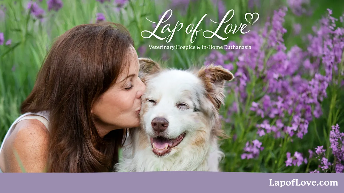 Lap of Love - Jersey Shore