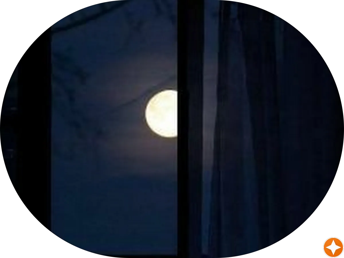 Latitude 40 Window Cleaning photo 5