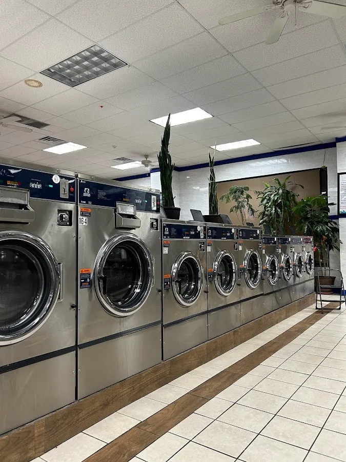 Laundry Wave