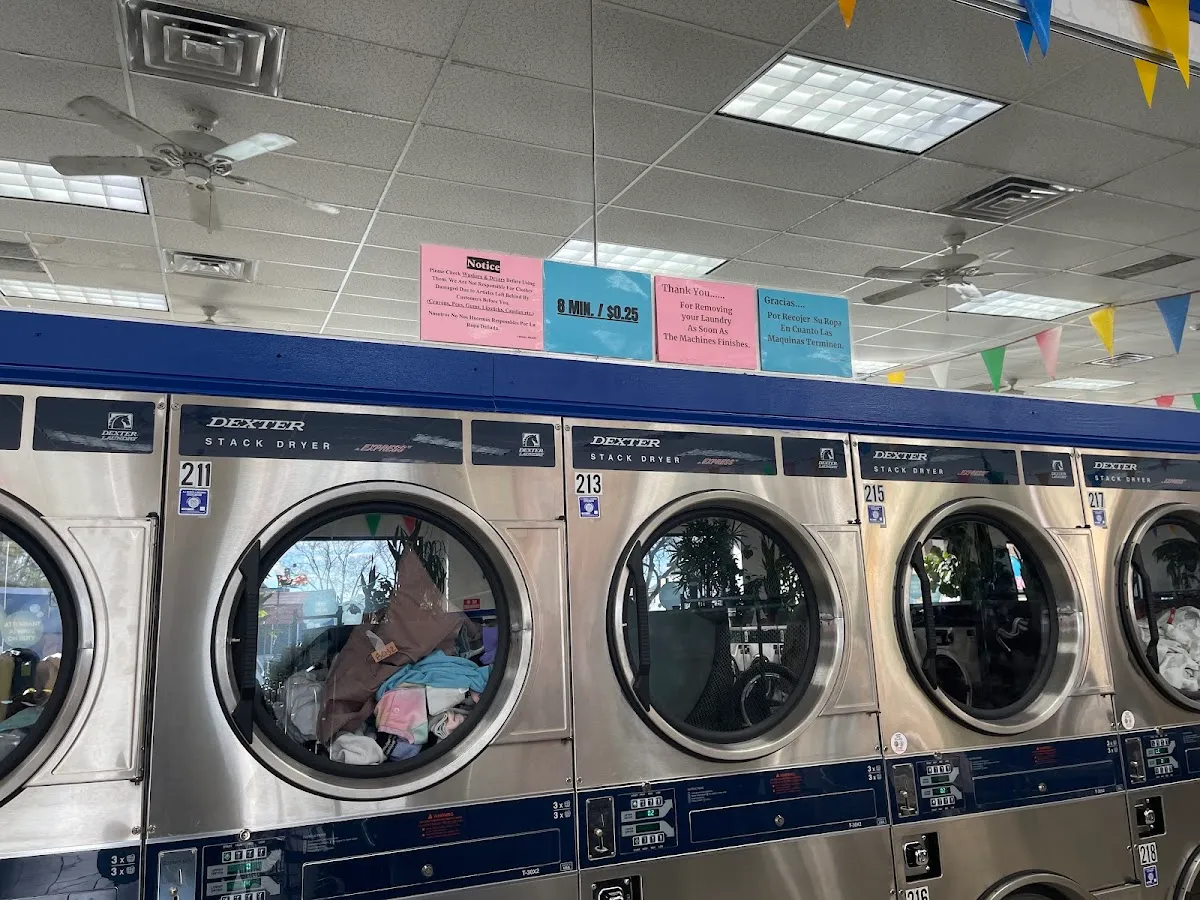 Laundry Wave photo 3