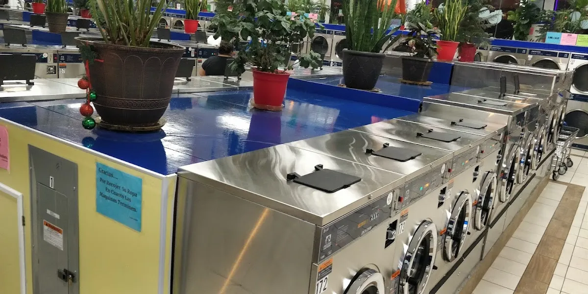 Laundry Wave photo 4