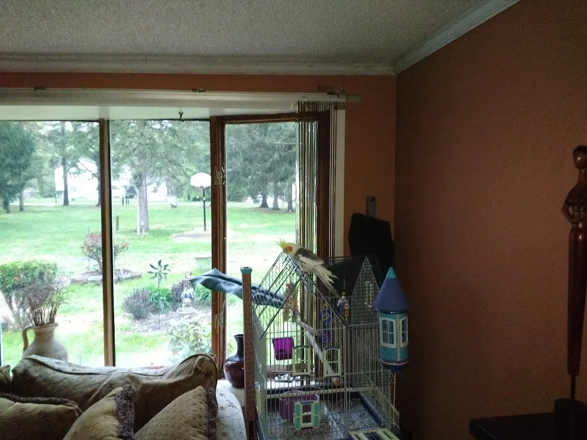 Law Office of Scott J. Levine photo 5