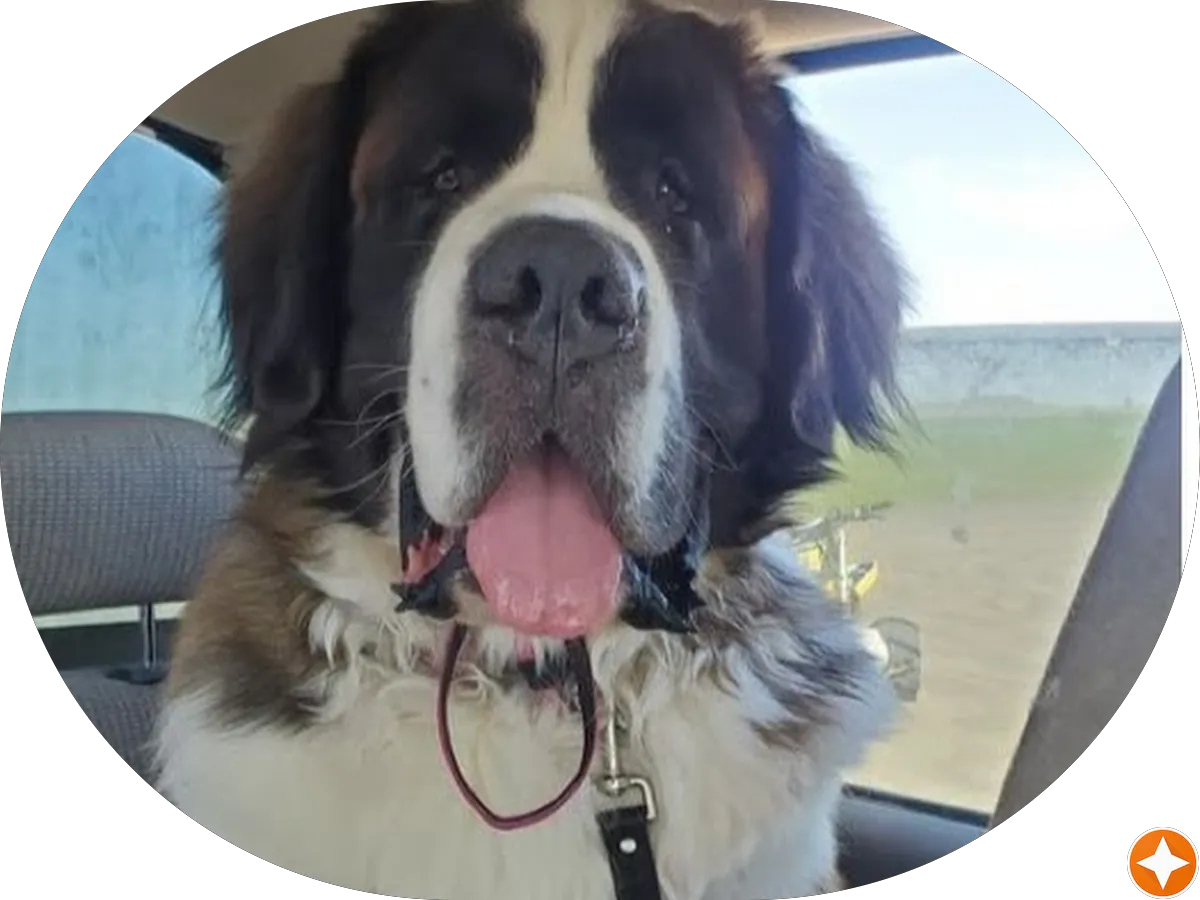 Law Offices of Quigley & Fayette