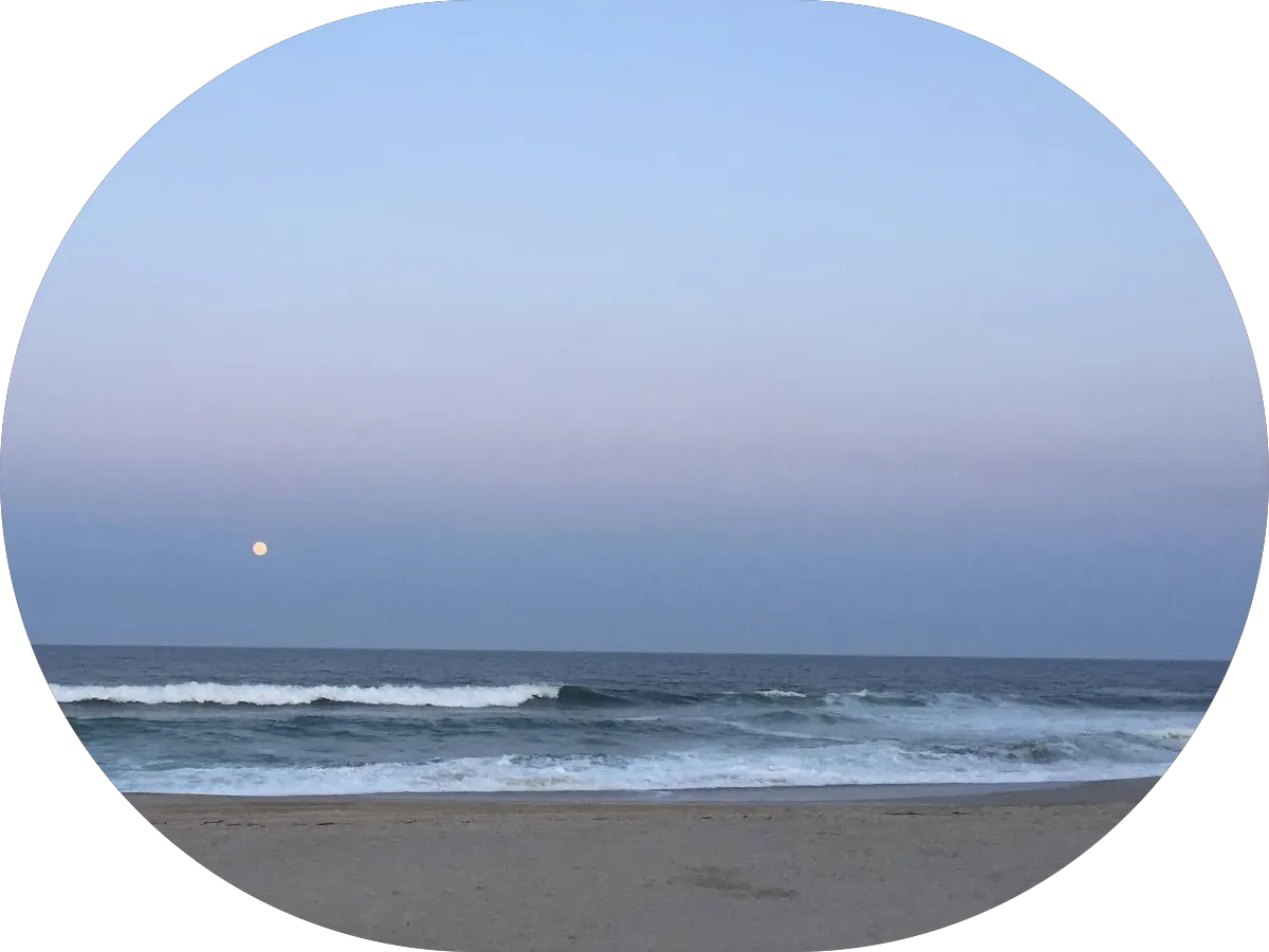 Law Offices of Steven A. Traub