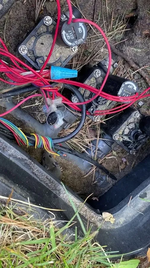 LBI Pest Control photo 3