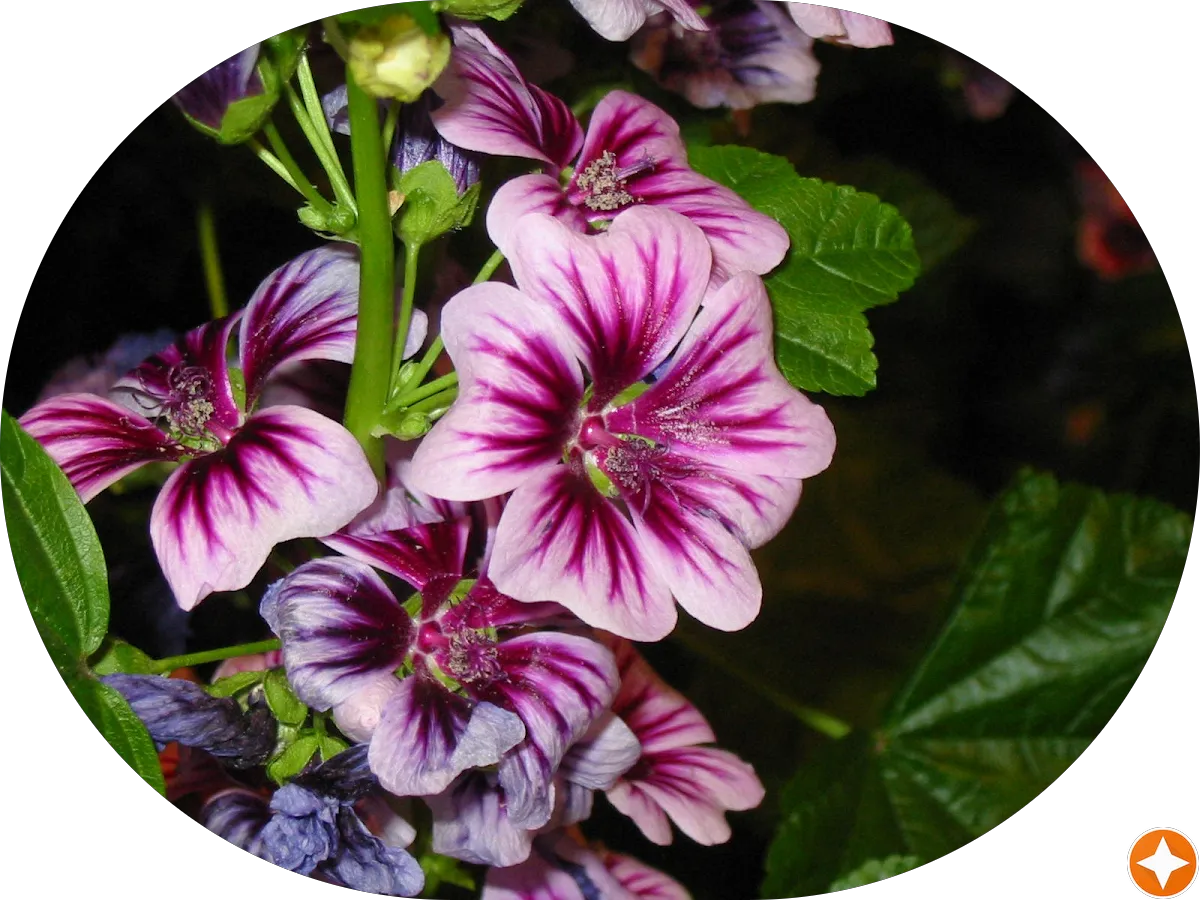 LDG Home Inspection, LLC photo 3