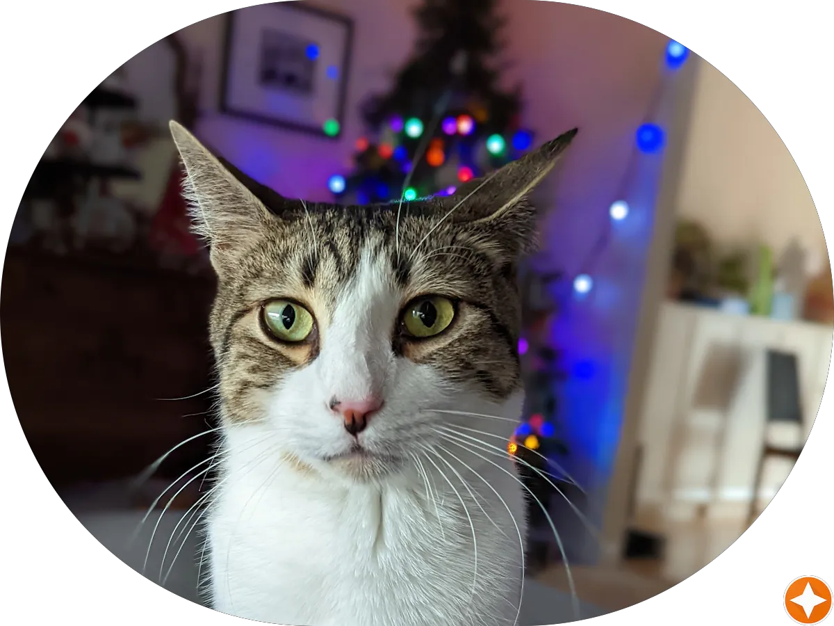 Leighton Feldman LLC photo 2