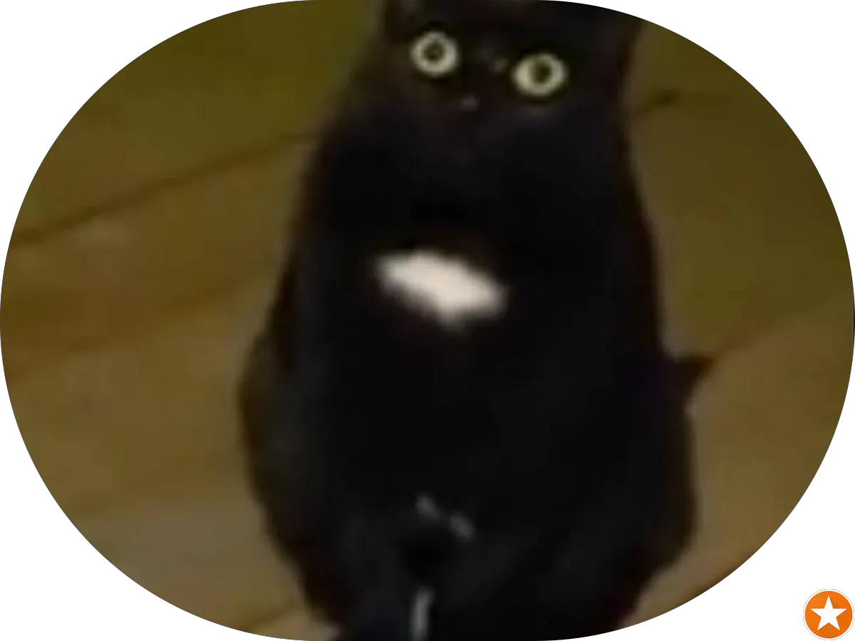 Leitz Insurance Agency photo 2