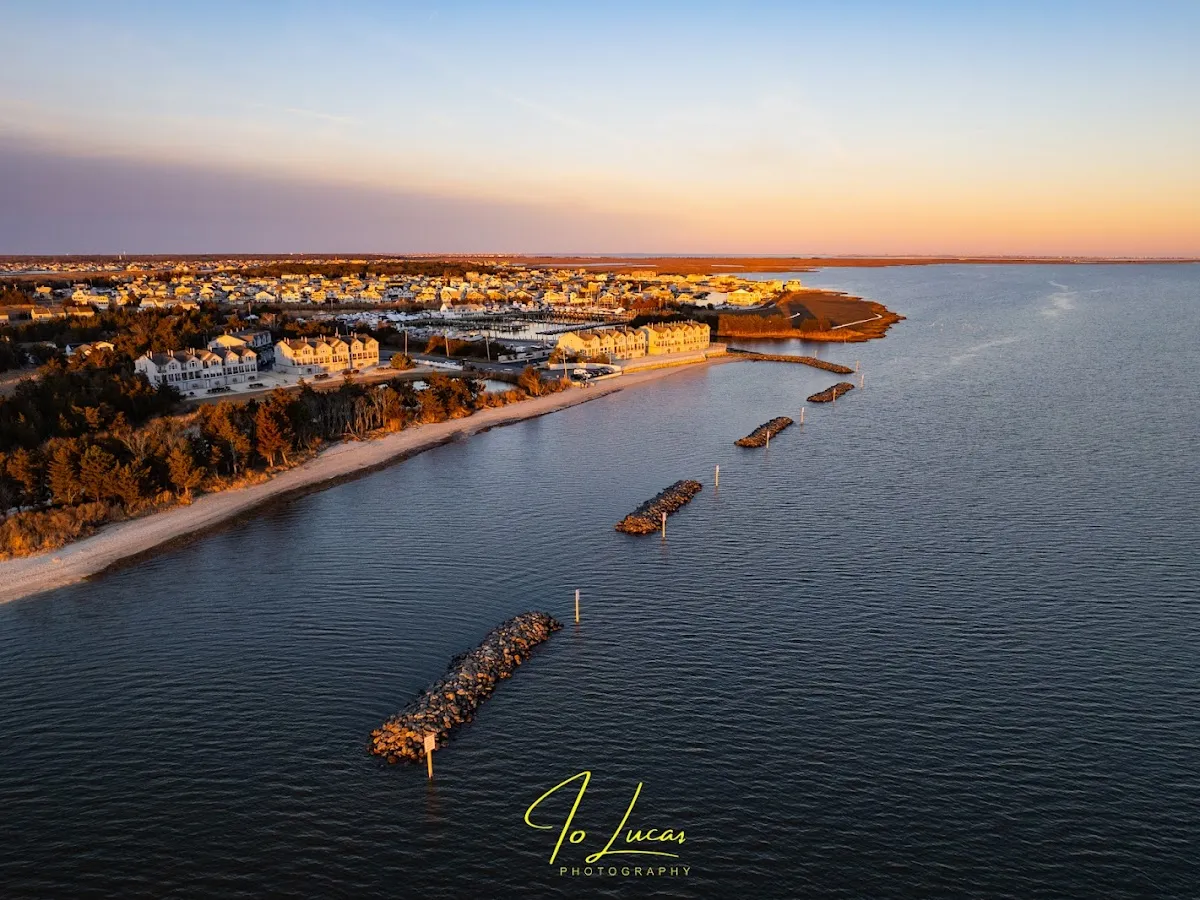 Leitz Insurance Agency photo 5