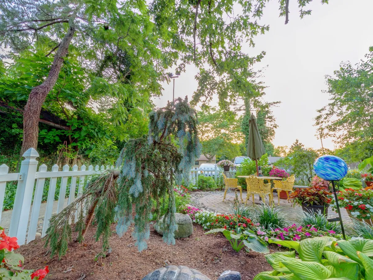 Lemieux Chiropractic Center photo 2