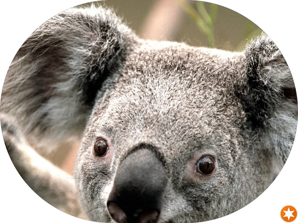 LEÓN BROTHERS LANDSCAPING LLC photo 2