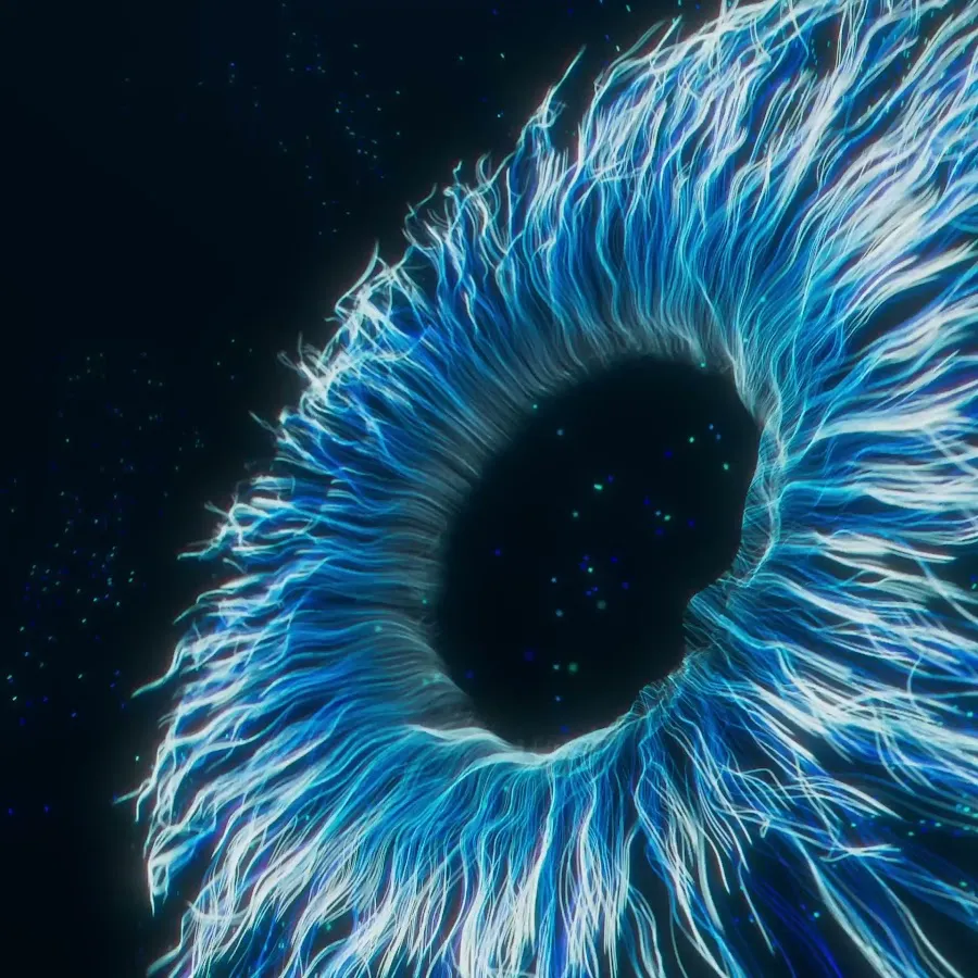 LensCrafters photo 3