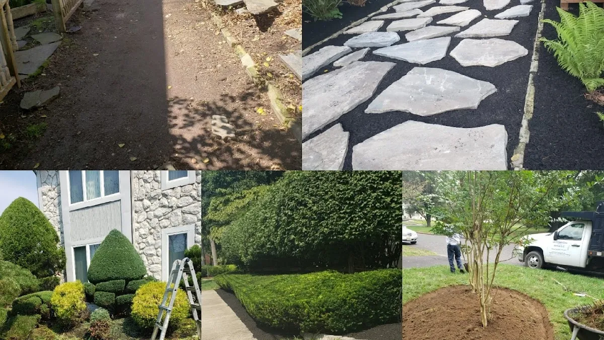 Leo's Lawn Care Service LLC photo 2