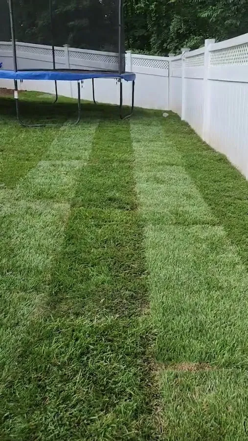 Leo's Lawn Care Service LLC photo 3