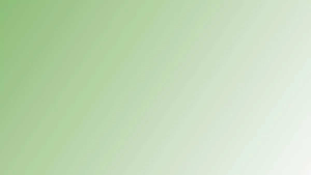 Let's B Media photo 2